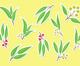 Free Eucalyptus Set Vector