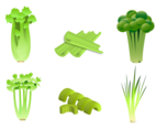 Free Celery Vector