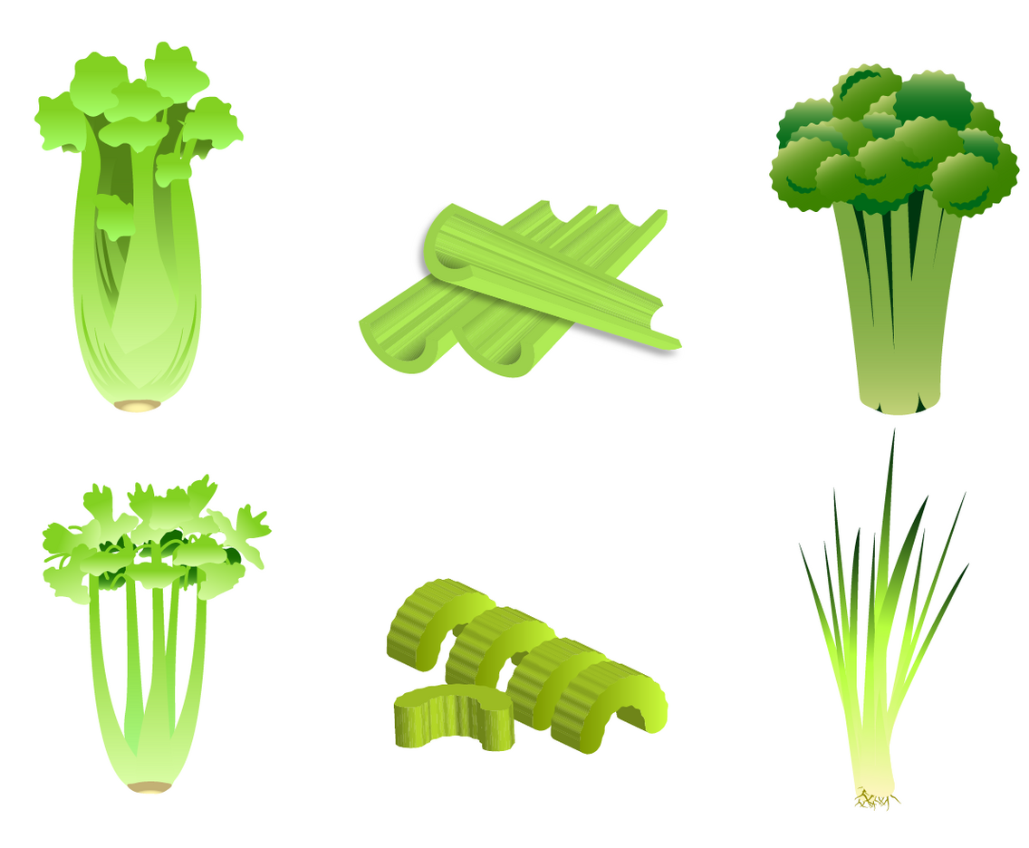 Free Celery Vector