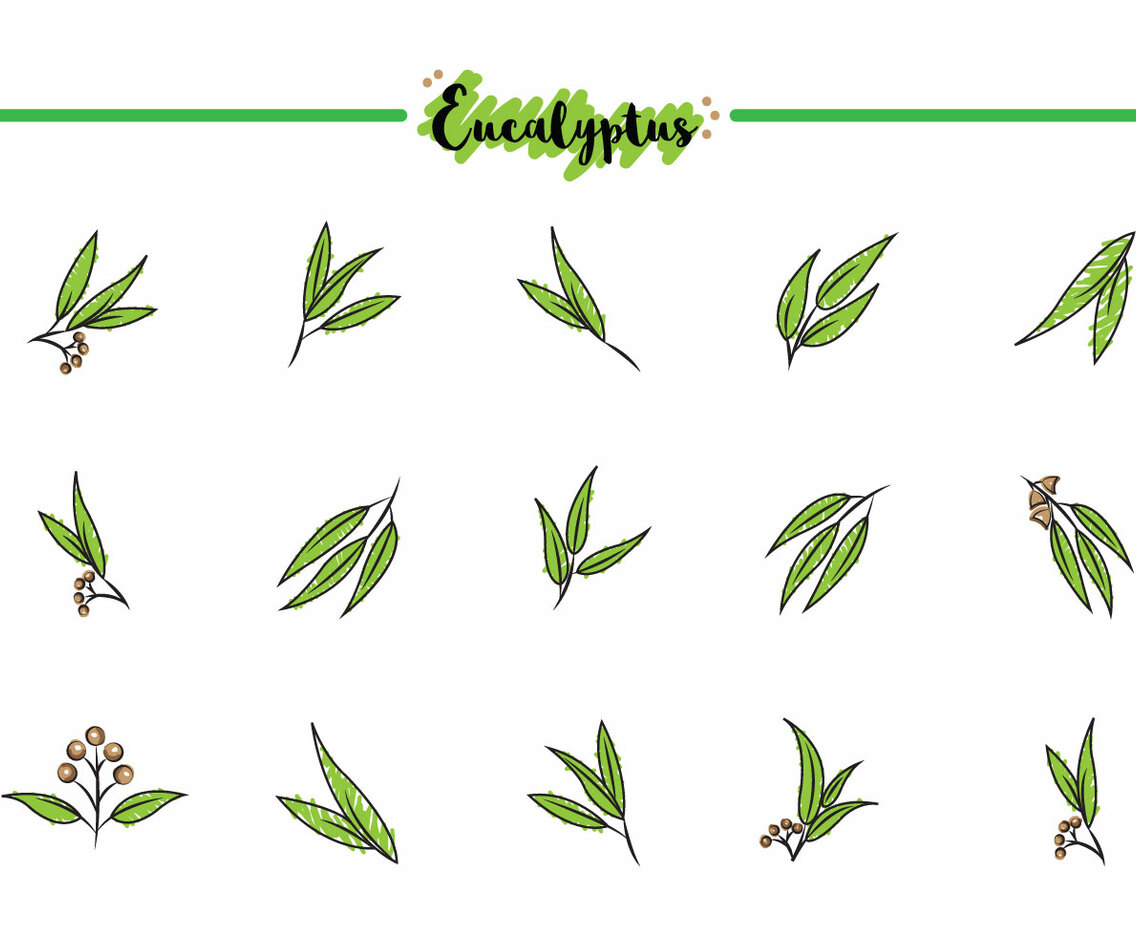 Free Eucalyptus Icons