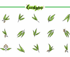 Free Eucalyptus Icons