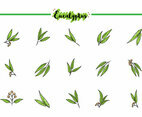 Free Eucalyptus Icons