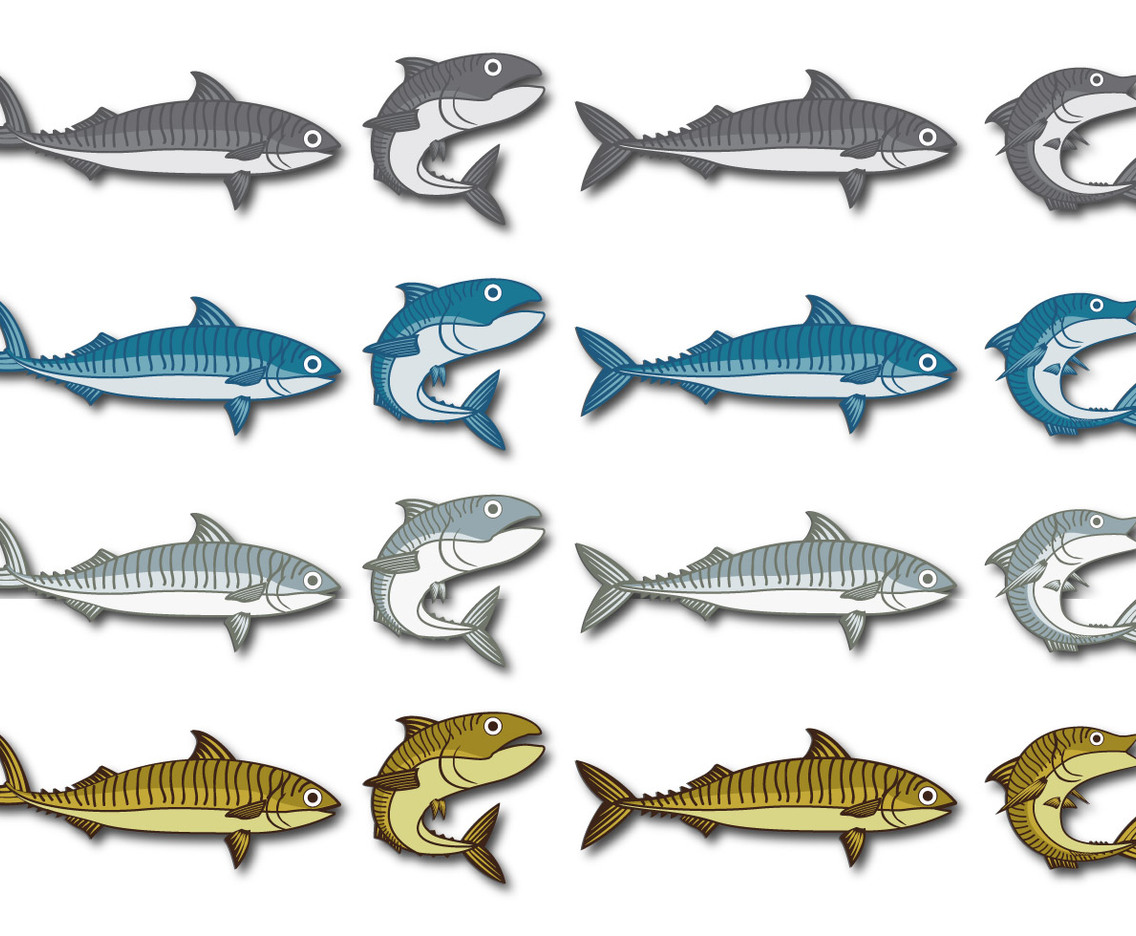 Mackerel vector cartoon illustration