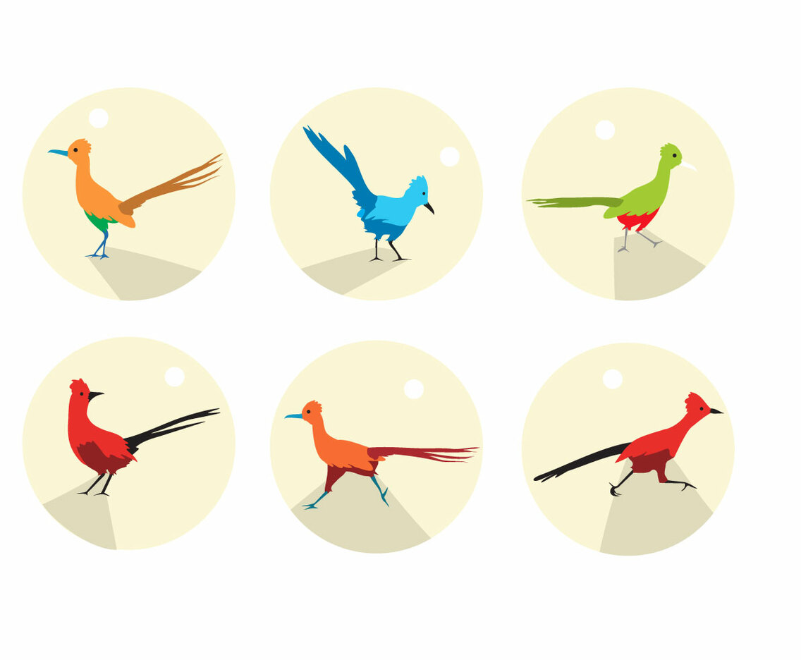 Roadrunner Icons Vector