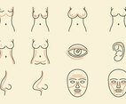 Plastic Surgery Icons