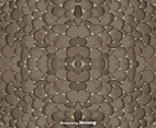 Pebble-Stone Background Vector