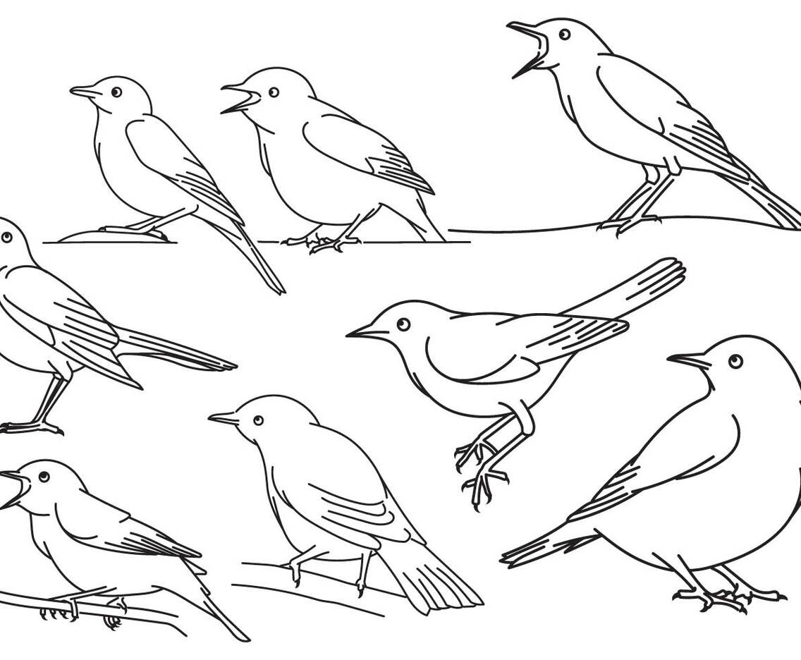 Nightingale Outline Set