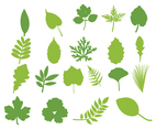 Hojas Vector Leaf Set