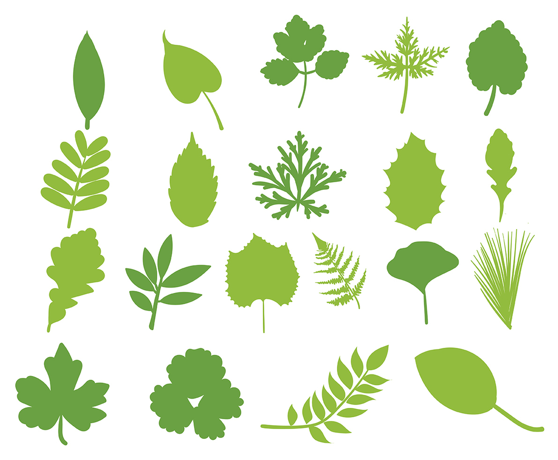 Hojas Vector Leaf Set
