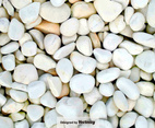 Pebble-Stone Path Close Up - Vector Background