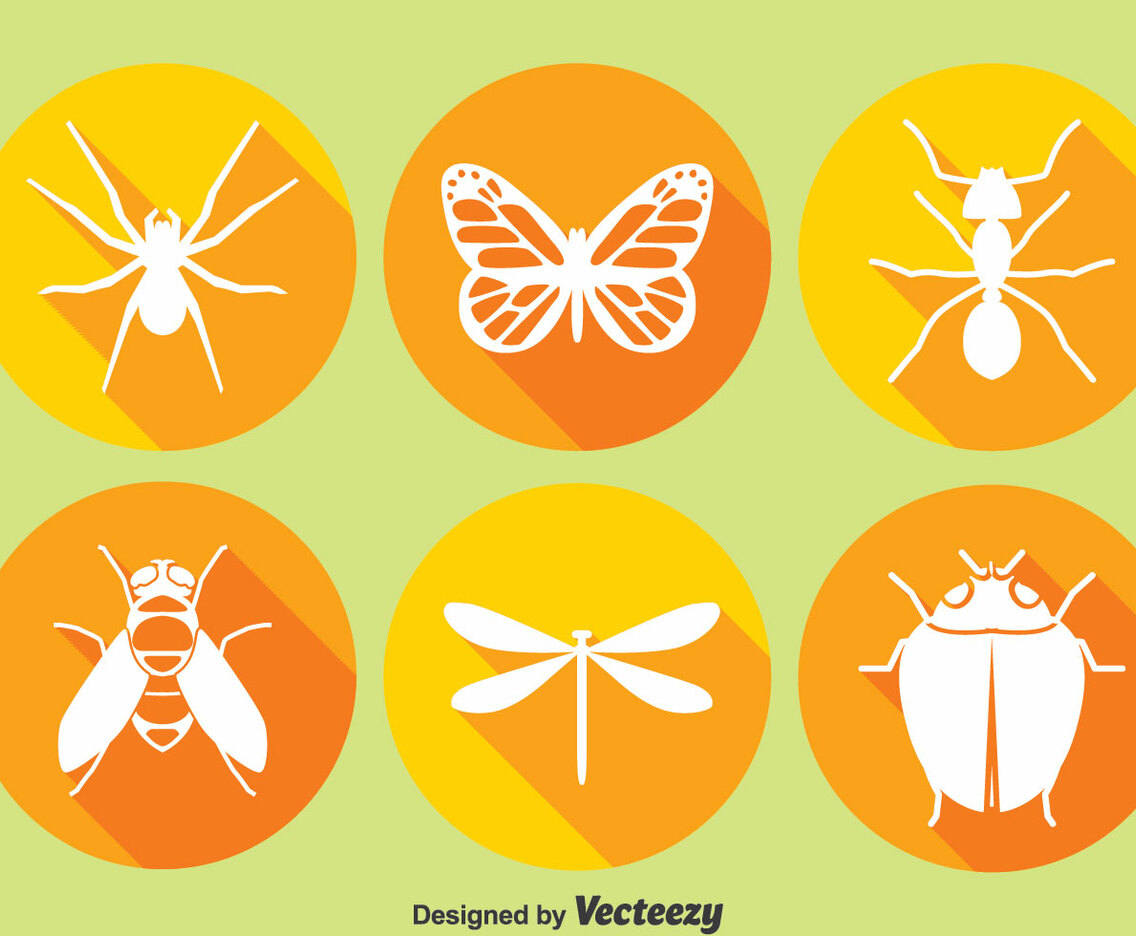 Insect Circle Icons