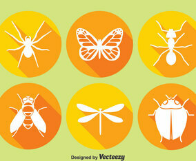 Insect Circle Icons