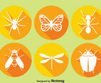Insect Circle Icons