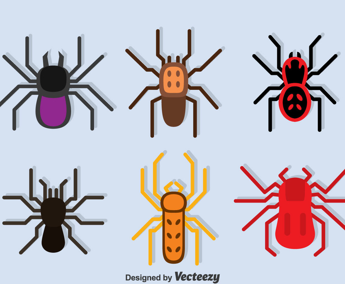 Tarantula Collection vector
