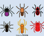 Tarantula Collection vector