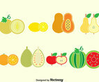 Fruits Collection Vector
