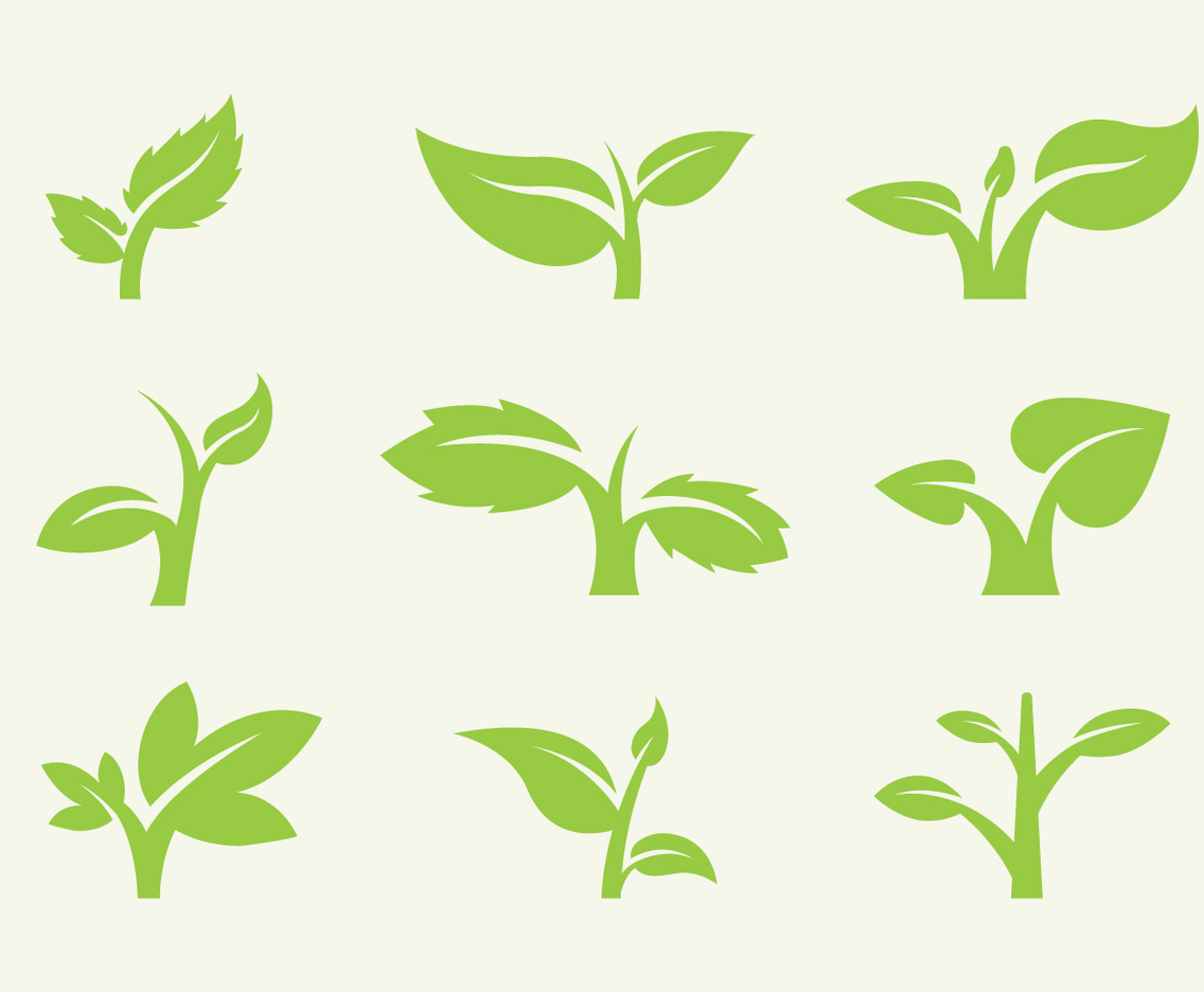 Leaf Icon Vectors