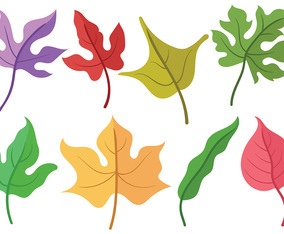 Free Hojas Icons Vectro