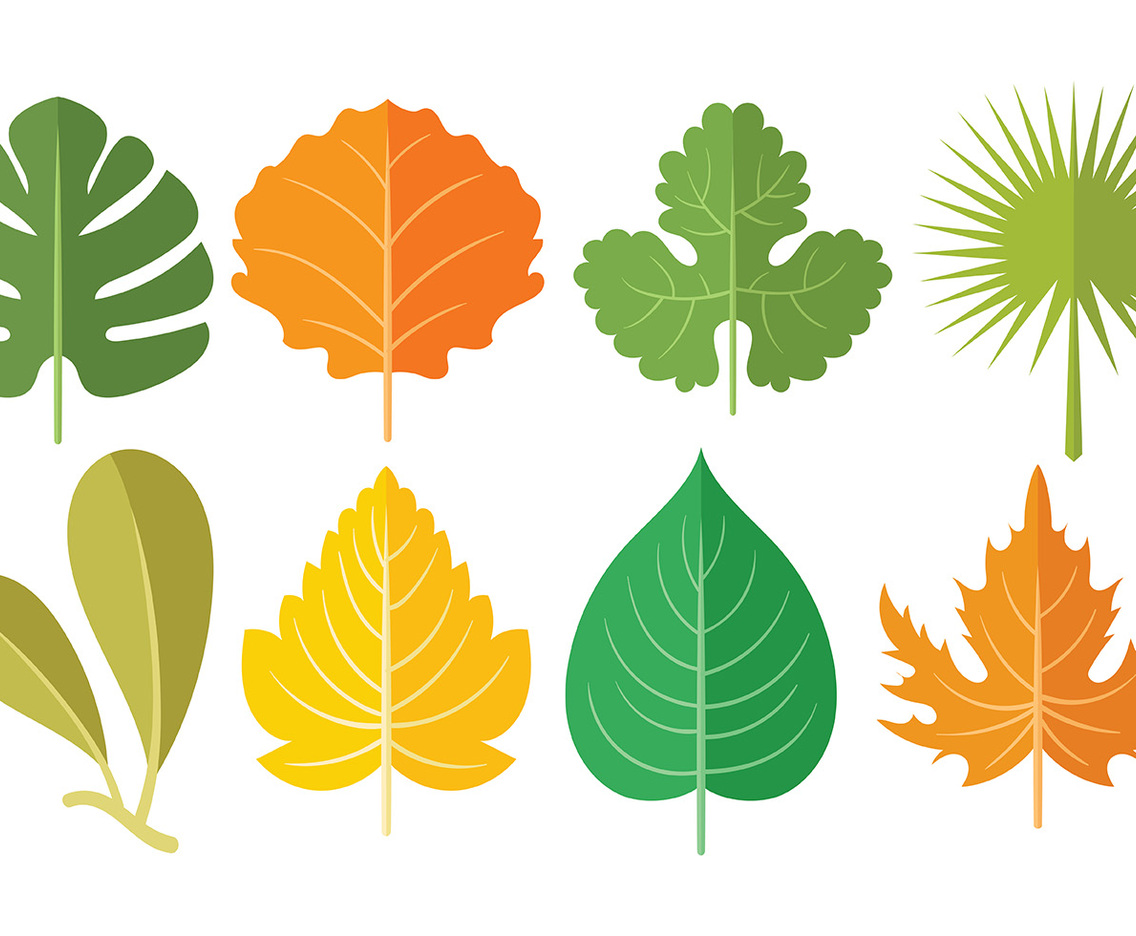 Free Hojas Icons Vectors