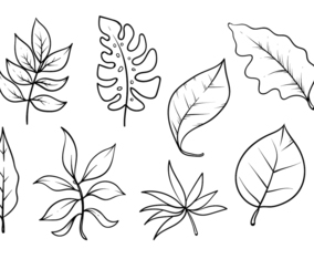 Hojas Icon Vector Set