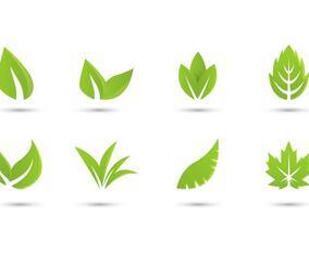 Free Collection Hojas Logo Vector