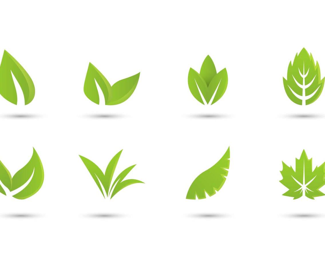 Free Collection Hojas Logo Vector