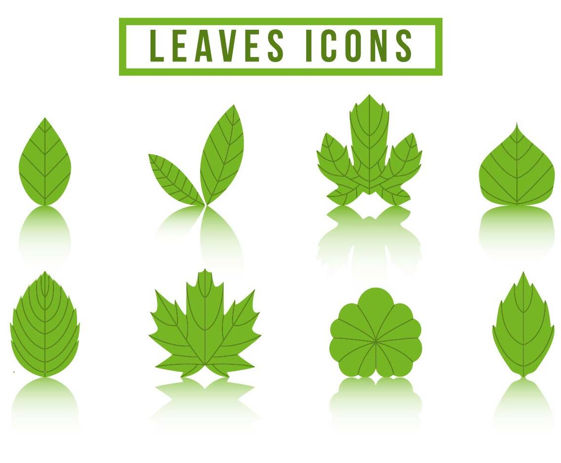 Free Collection Hojas Logo Vector