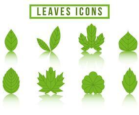 Free Collection Hojas Logo Vector