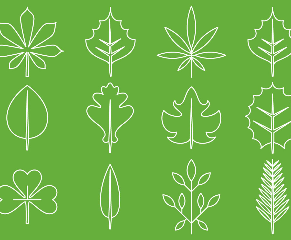Leaves Line Icons