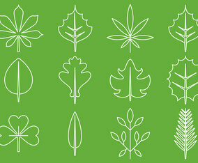Leaves Line Icons
