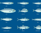 Fish Icons Set