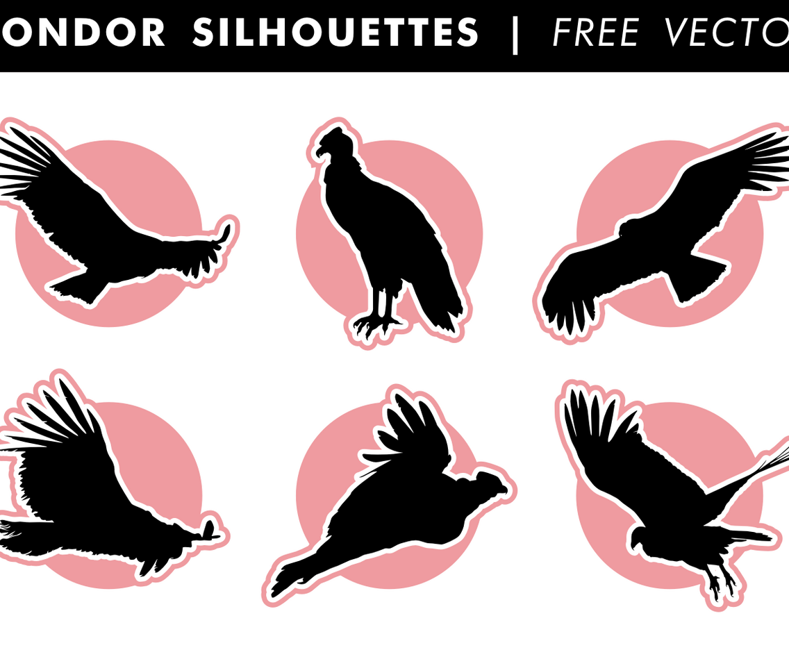 Condor Silhouettes Free Vector