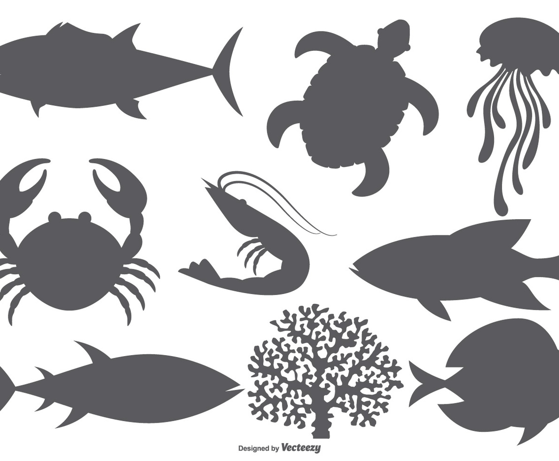 Sea Animal Vector Shapes