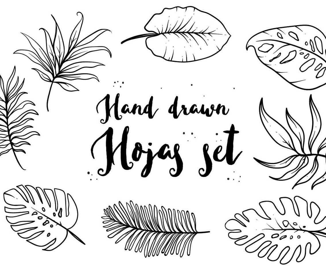 Drawn Hojas Icon Set