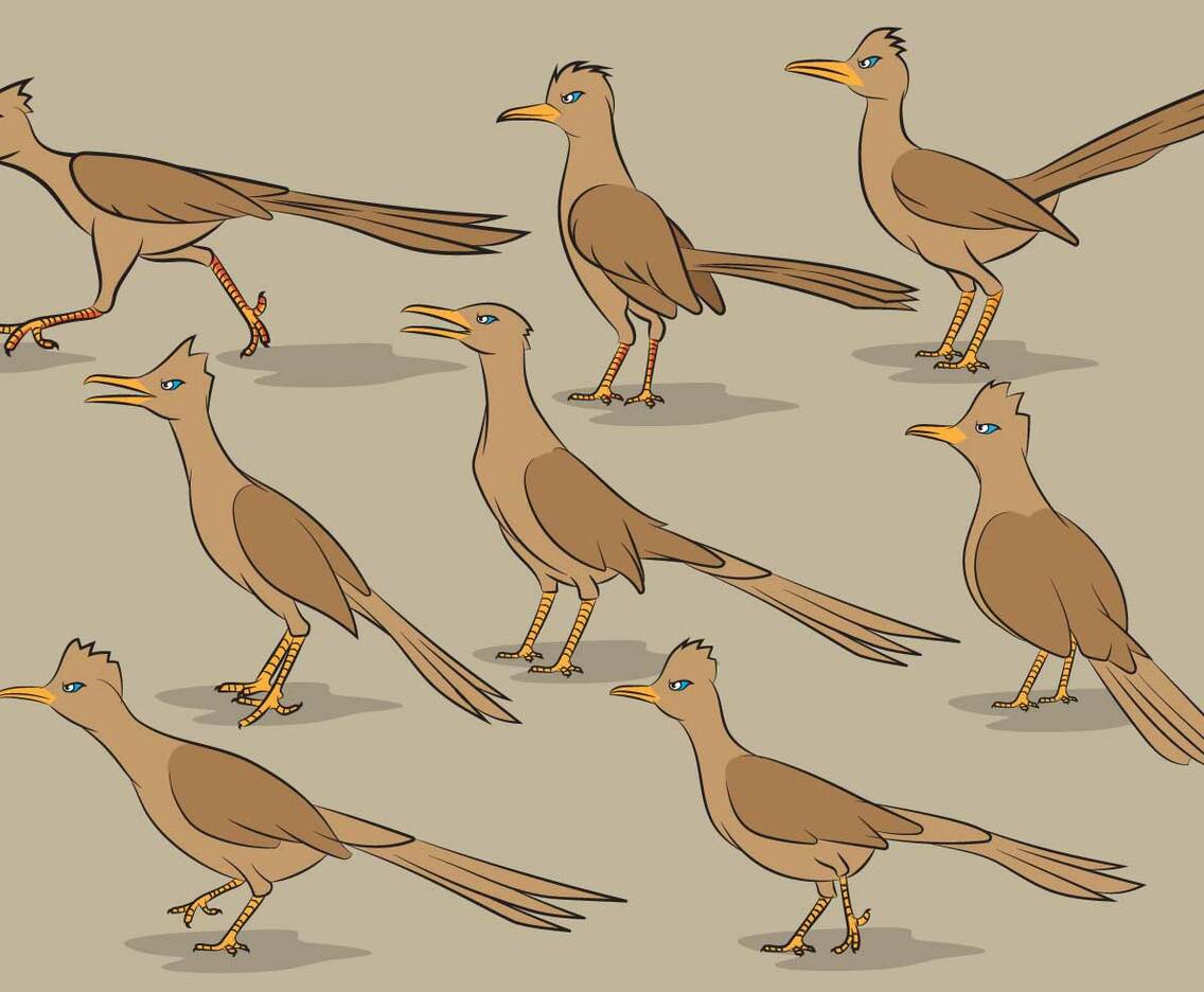 Roadrunner Bird Cartoon Vectors
