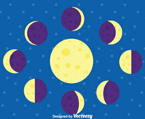 Moon Phase Vector