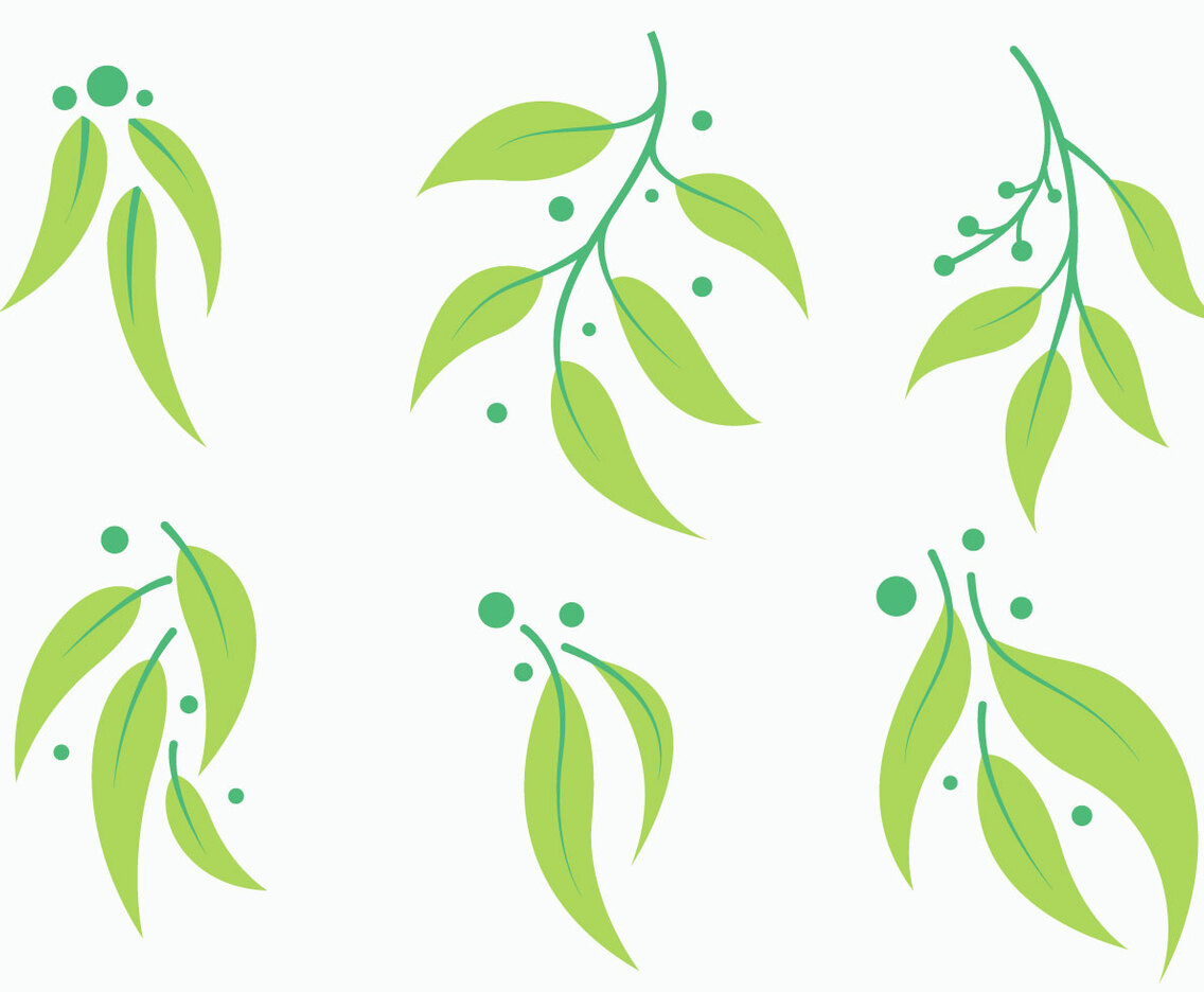 Free Eucalyptus Vector 1