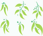 Free Eucalyptus Vector 1