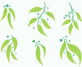 Free Eucalyptus Vector 1