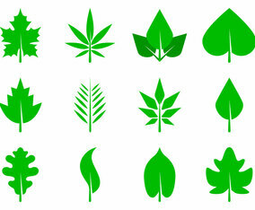 Free Leaves Icon Vector