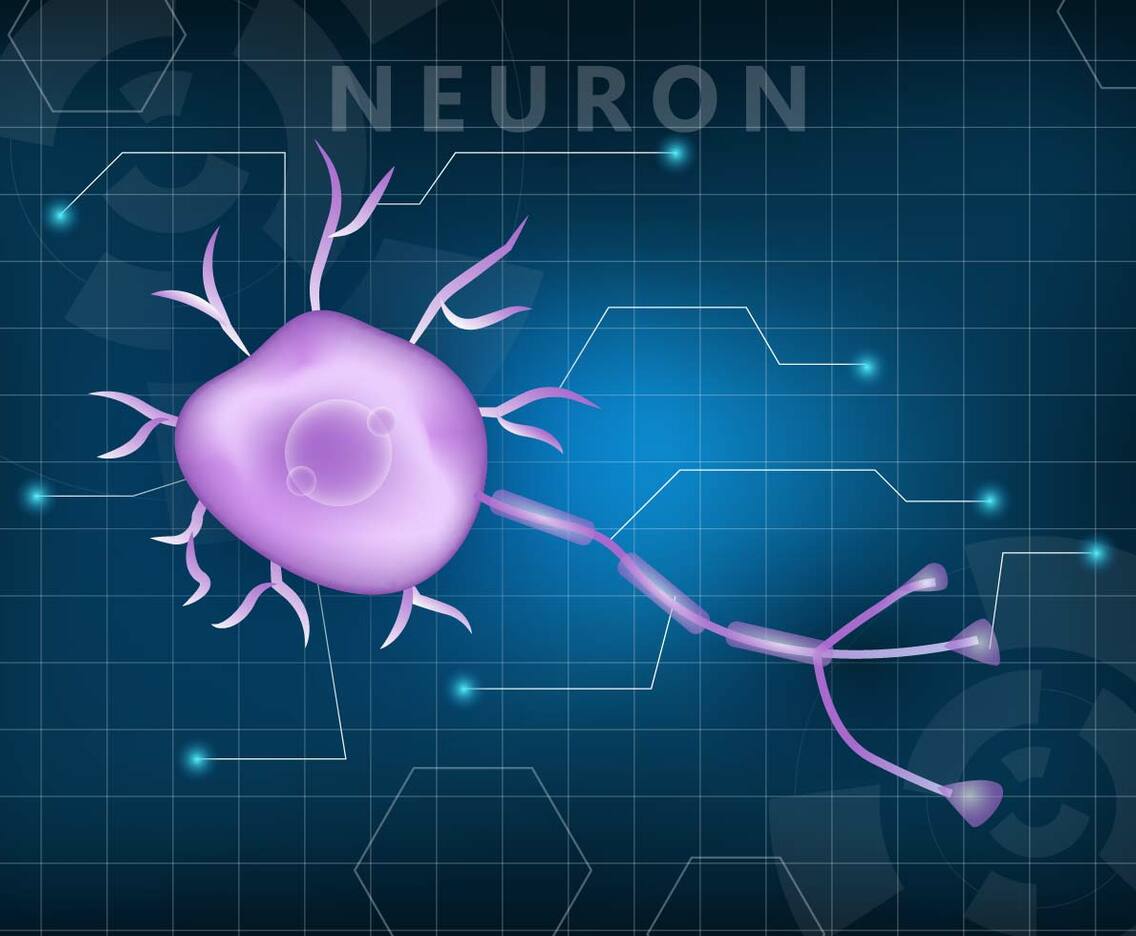 Neuron Wallpaper Vector