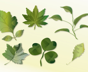 Leaves Set