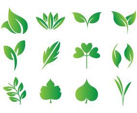 Free Leaf, Hojas Vector