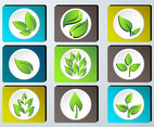 Set of green leaves design icon set