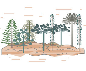Araucaria Vector
