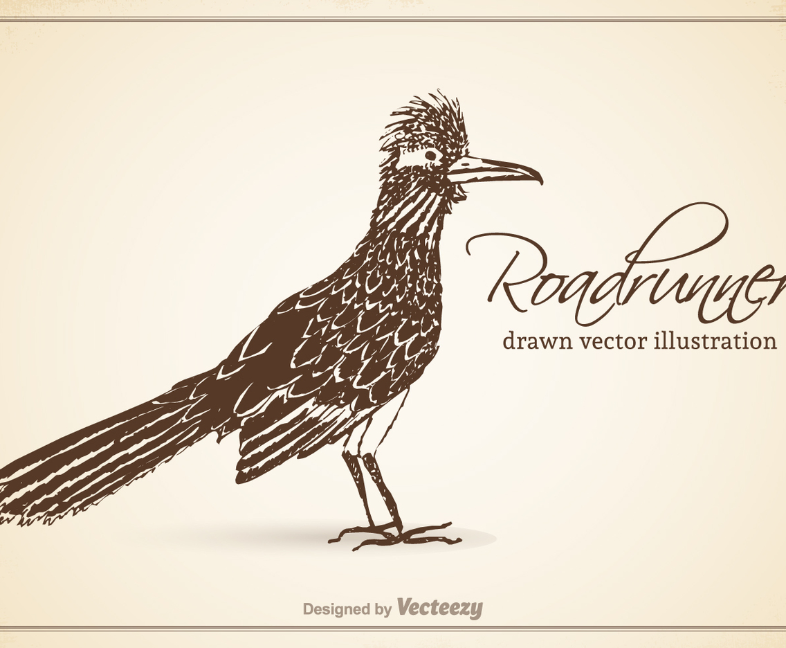 Free Vector Drawn Roadrunner Illustration