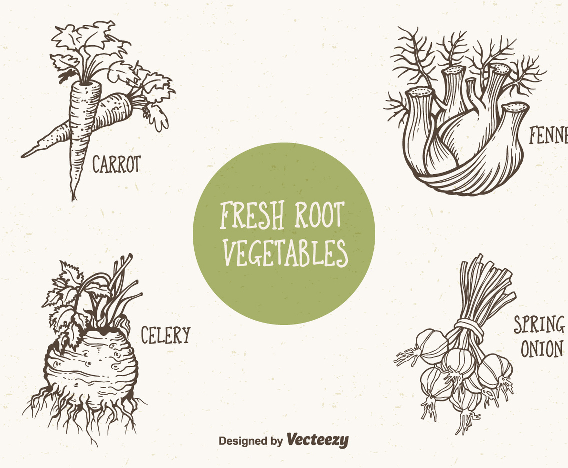Doodle Drawn Root Vegetables Vector