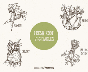 Doodle Drawn Root Vegetables Vector