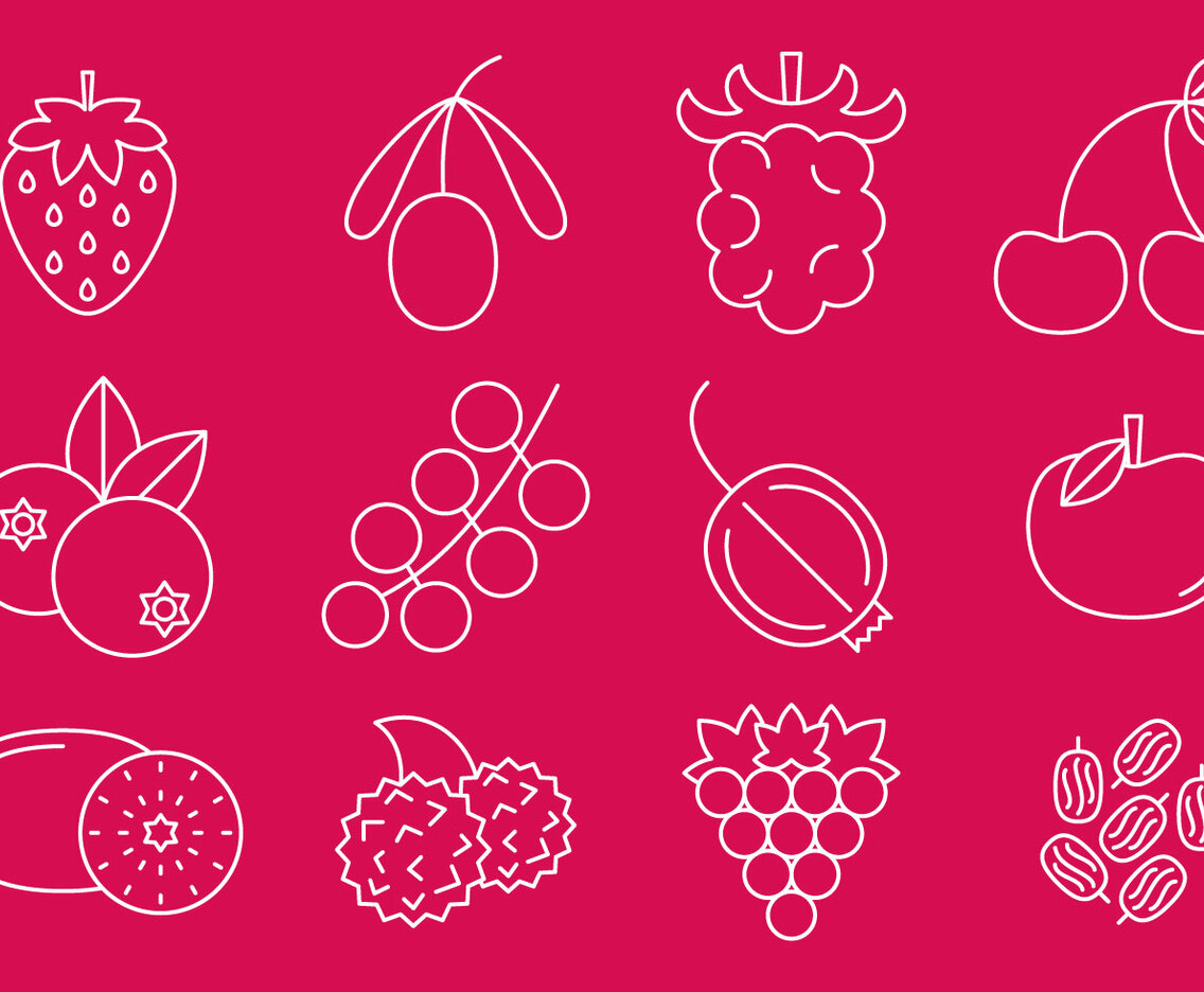 Berries Line Icons