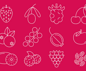 Berries Line Icons